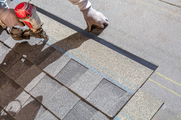 Best Roof Gutter Cleaning  in Allentown, NJ